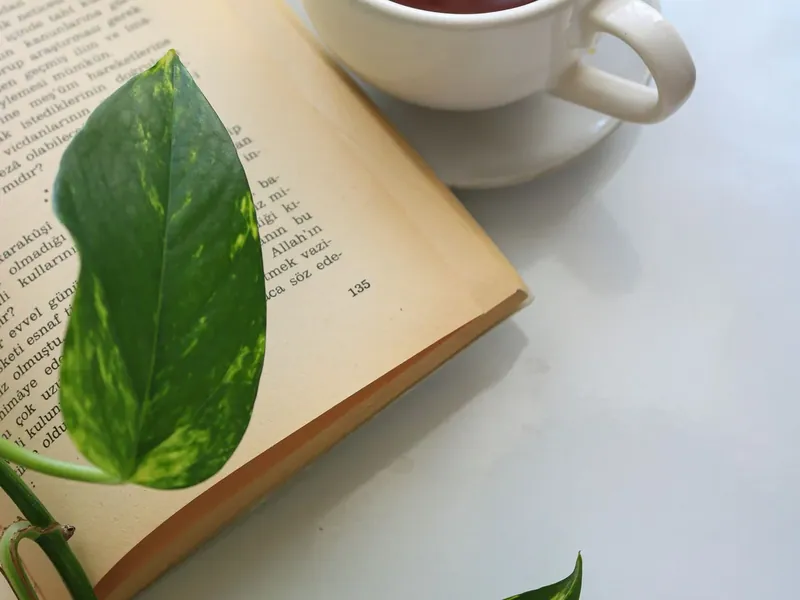 Livre ouvert, tasse de thé et feuilles vertes sur une table claire